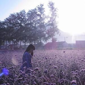 Meet your Posher, Bella